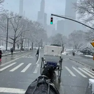 Empire State Carriage Ride